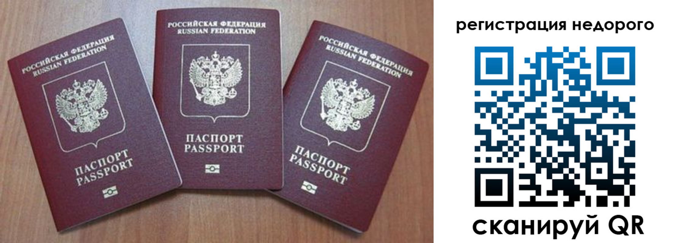 временная регистрация для всех в Димитровграде