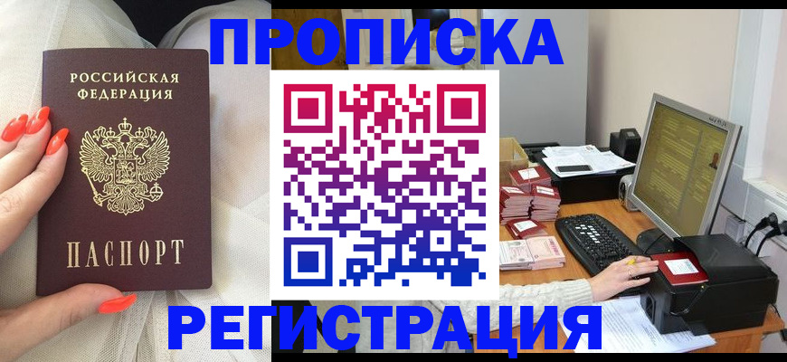 временная регистрация поиск в Димитровграде